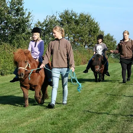 Camp Hverringe Dalby