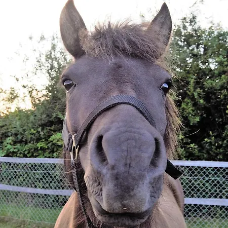Кемпинг Camp Hverringe *